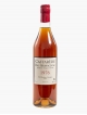 Armagnac Bas Castarède 1976 VP 70 cl U