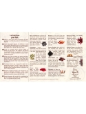 Set Botanical pour Gin Toque