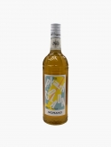 Sirop Morand Piña Colada VP 100 cl U