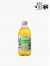 Bio Infusade Thé Menthe Alpine VP 33 cl P12